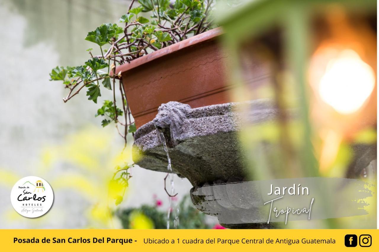 Posada De San Carlos Del Parque Antigua Ngoại thất bức ảnh